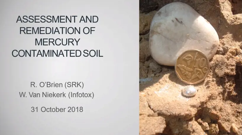 Assessment and Remediation of Mercury Contaminated Soil