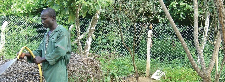 Integrating Mining Environmental Assessment Into Project Development Studies | SRK Consulting