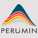 Perumin 2022