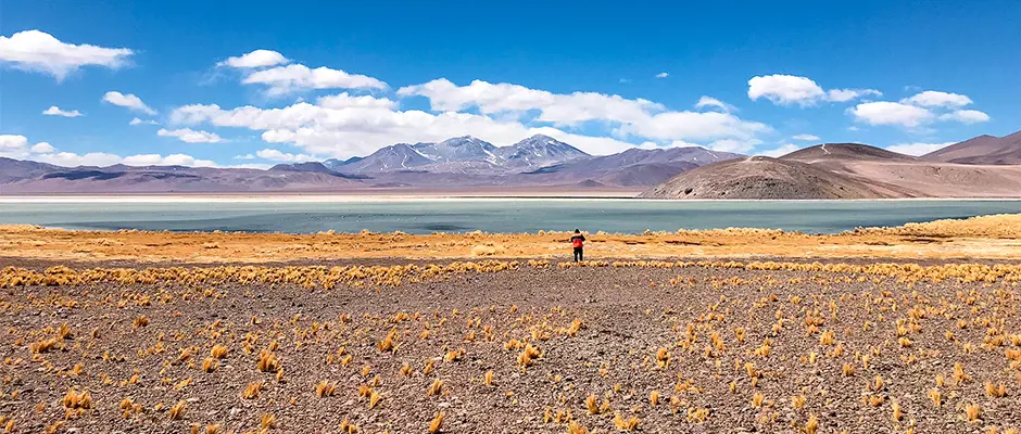 Laguna Santa Rosa, Atacama, Chile