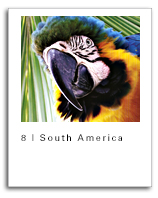 SRK e-Book Chapter 8 - South America